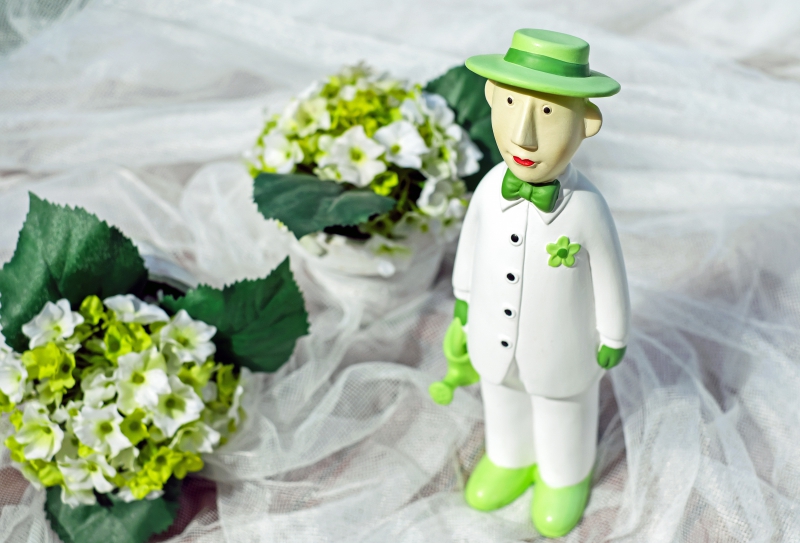 ecommerce-VENCE-min_man-person-flower-green-toy-fig-546529-pxhere.com